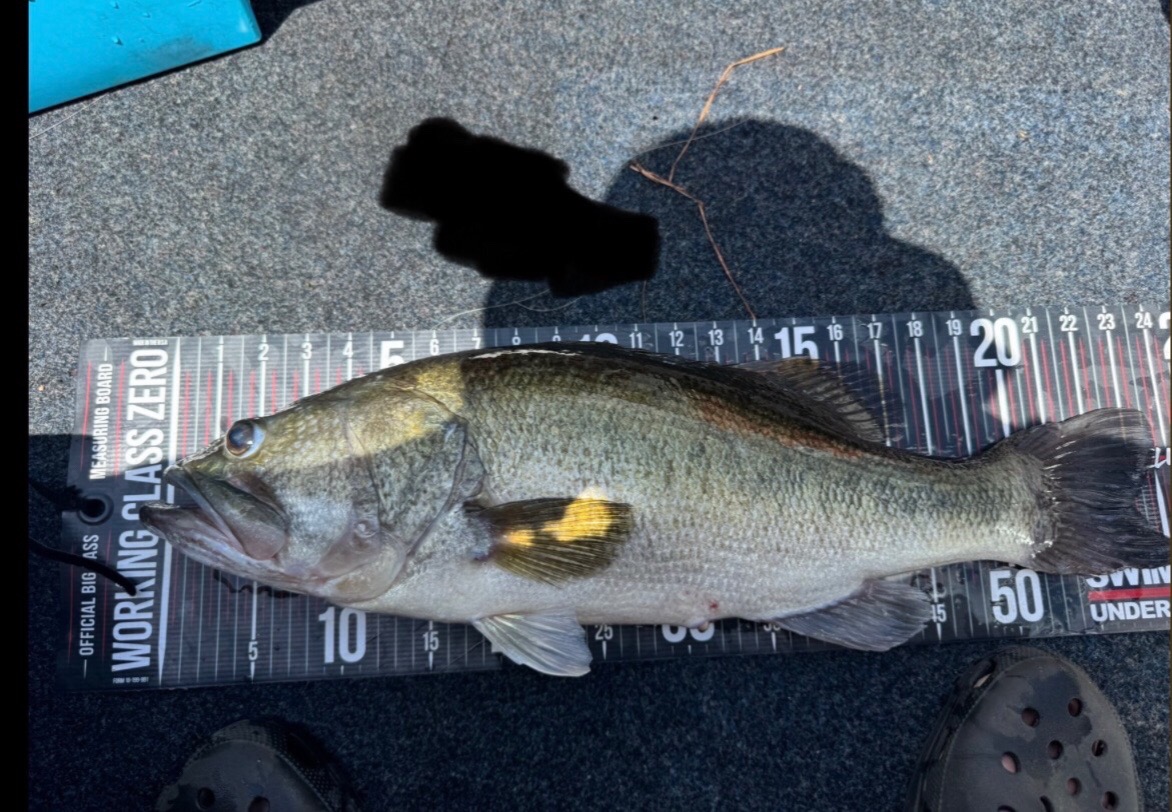 @fishing with the flow13