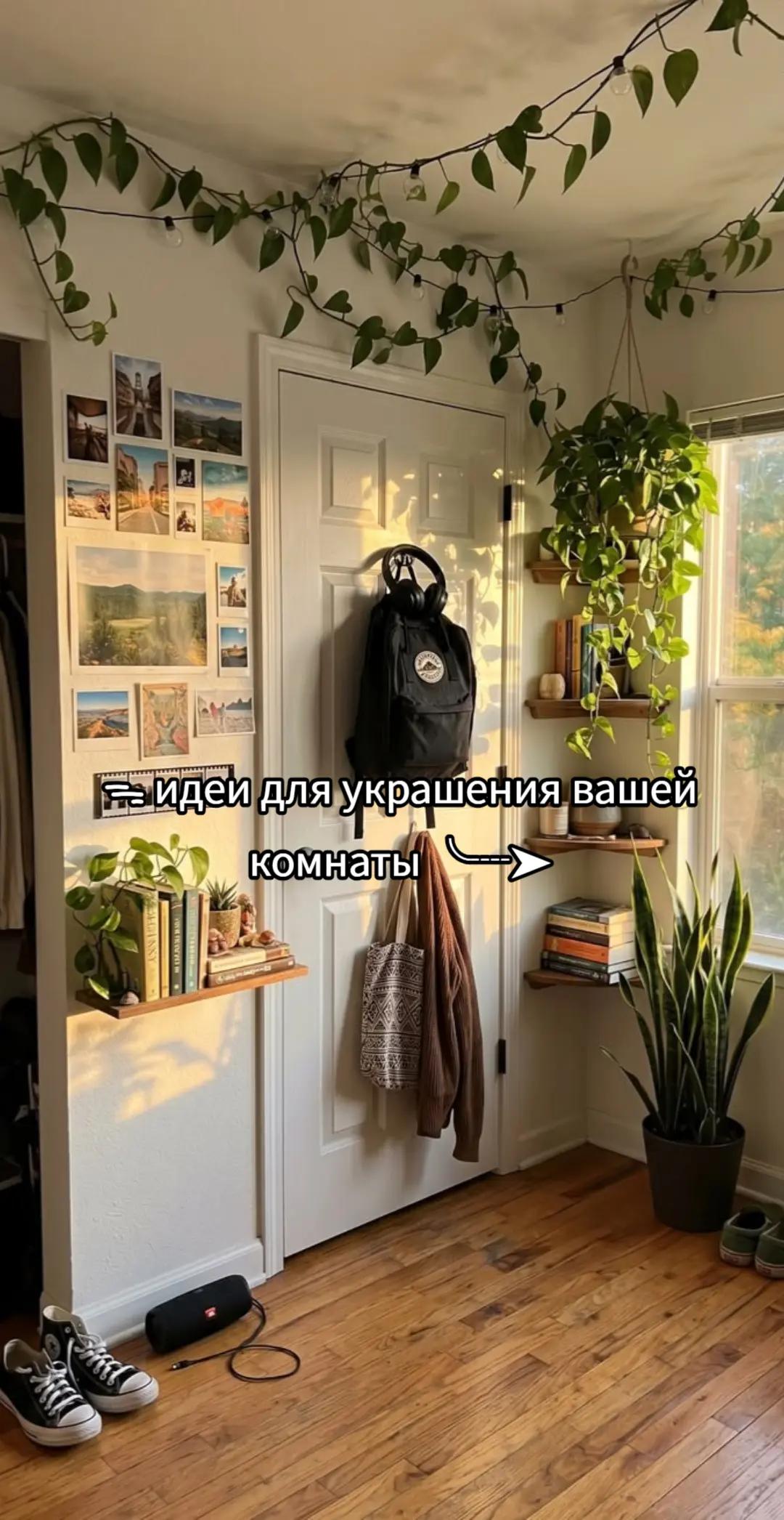 @альва ⋆.˚☾
