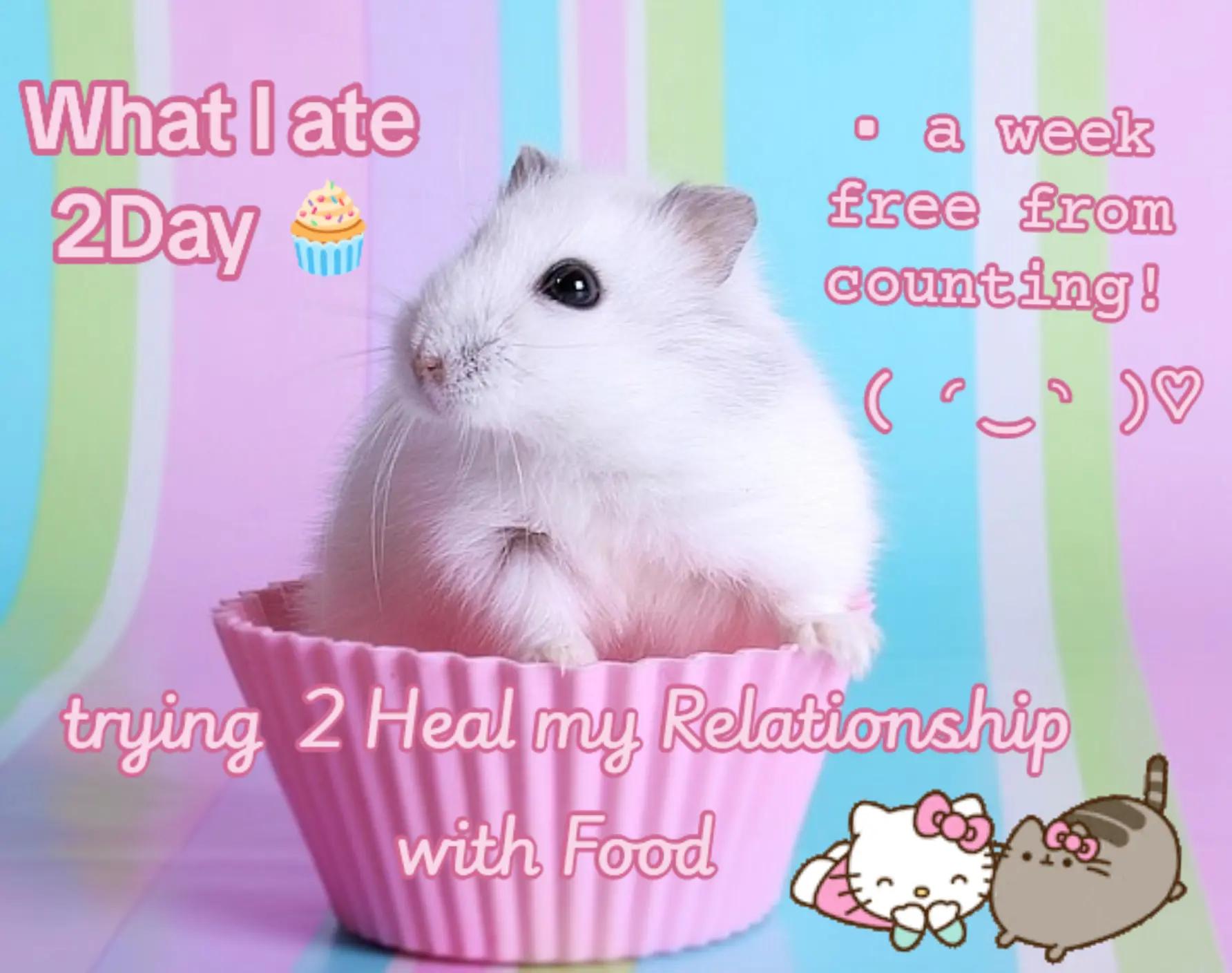 @vinnie 🧁