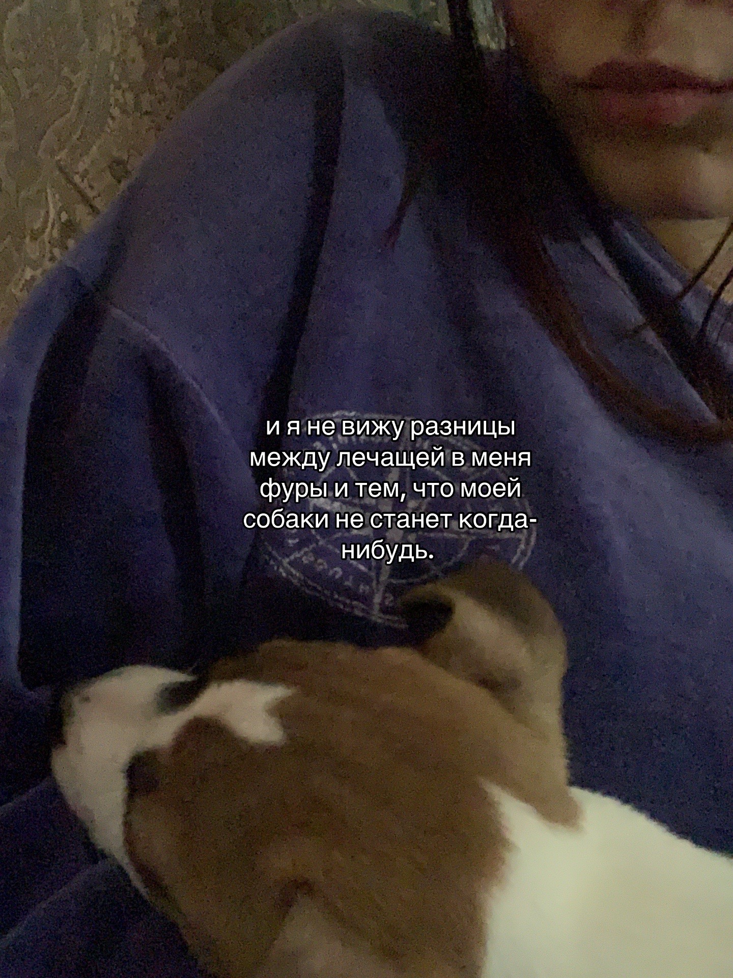 @Полка🧟♀️