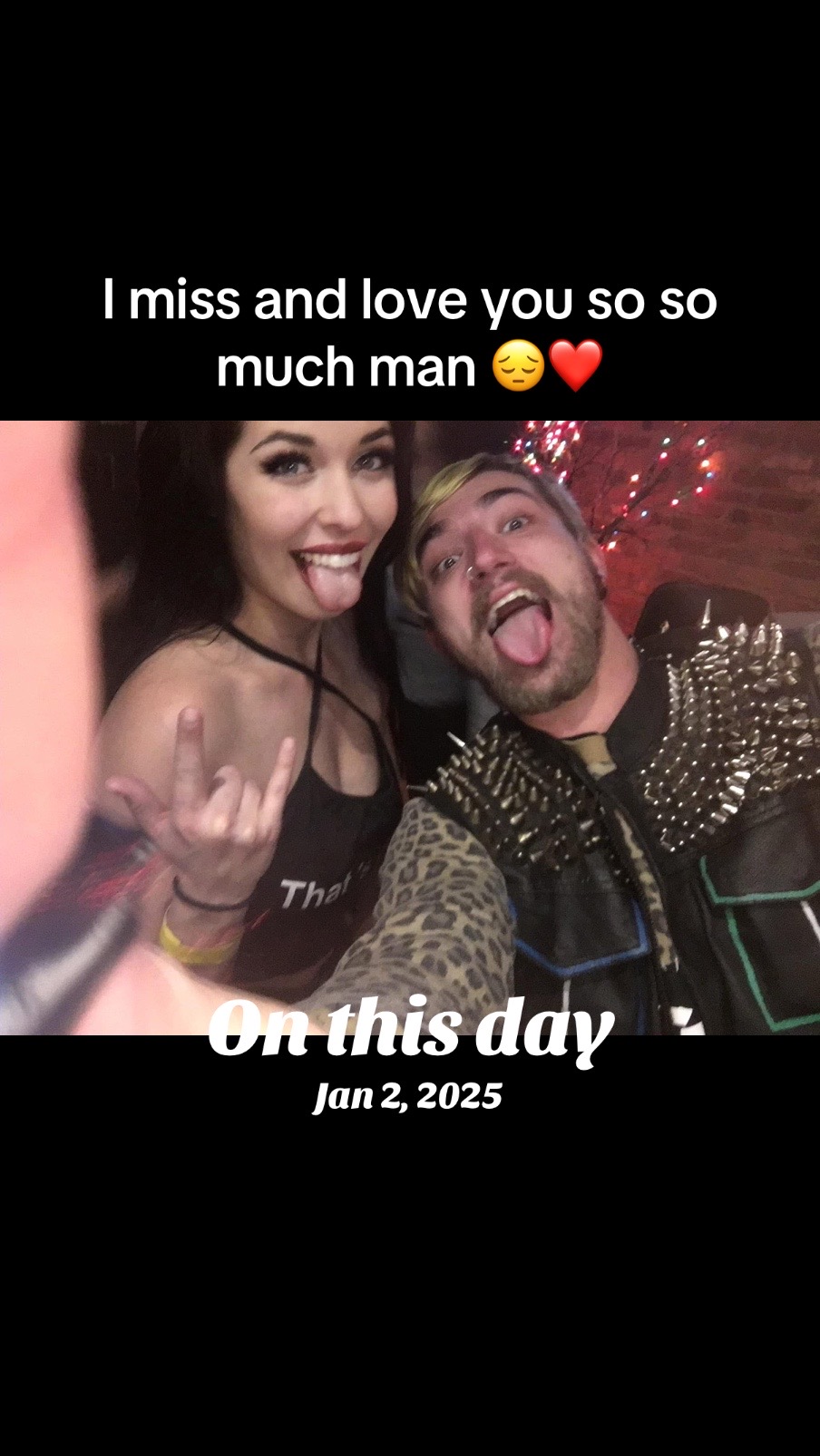 @din0kitten