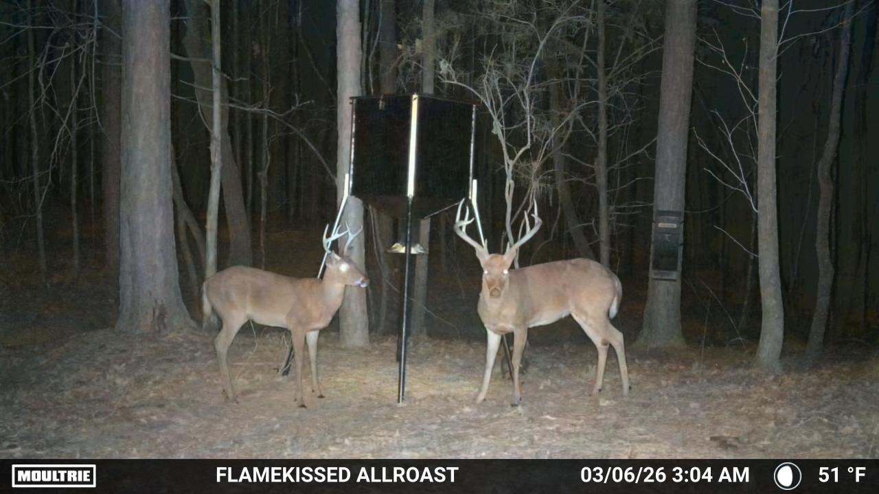 @Ridge Rock Hunt Company