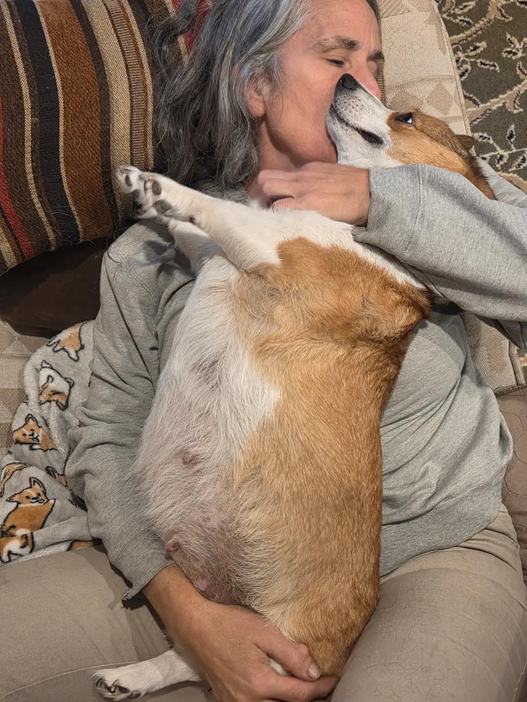 @PNW Pembroke Welsh Corgis