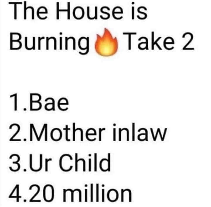 @awakeningbullonthrise