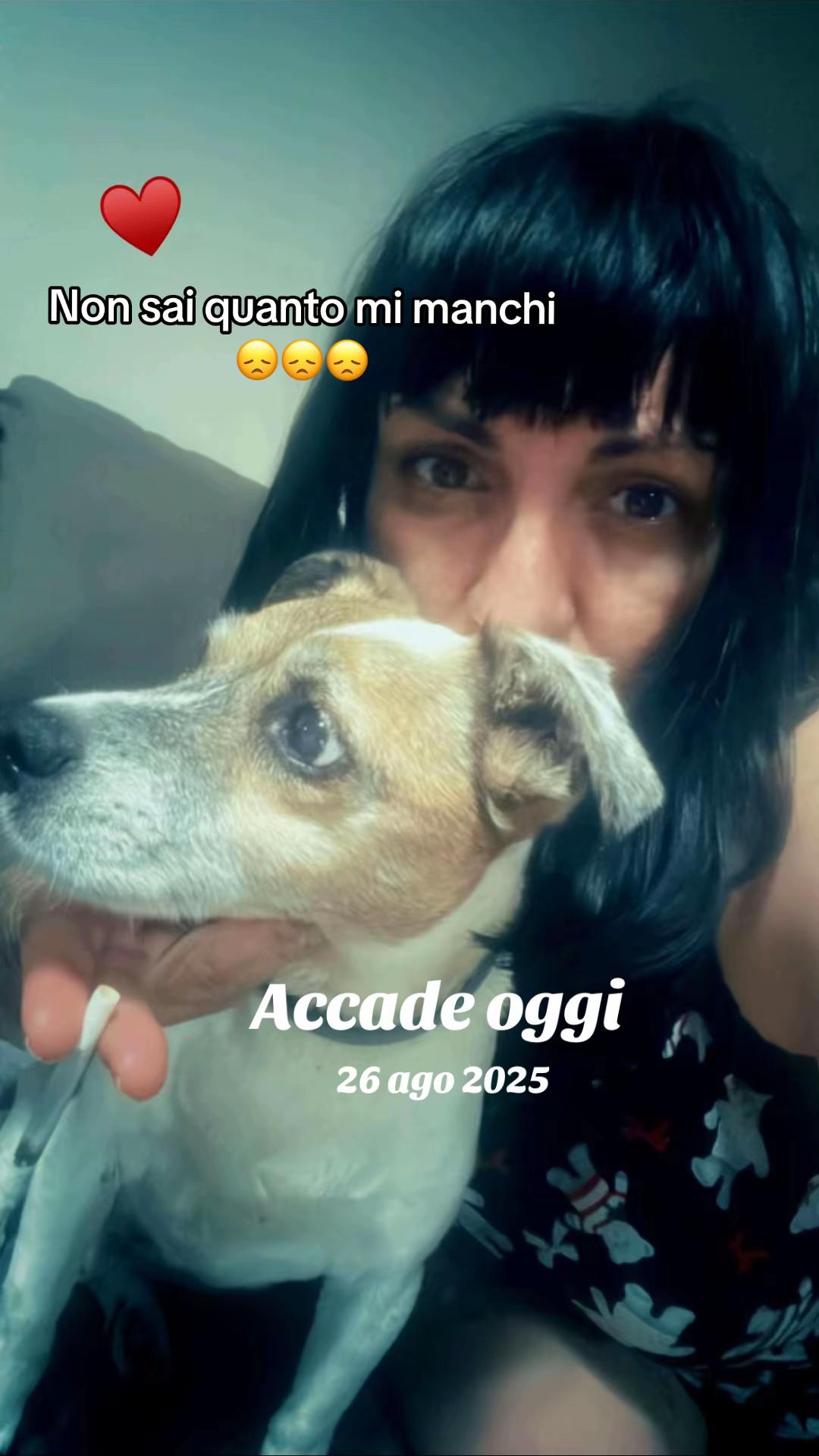 @Tanya Volontaria Animalista