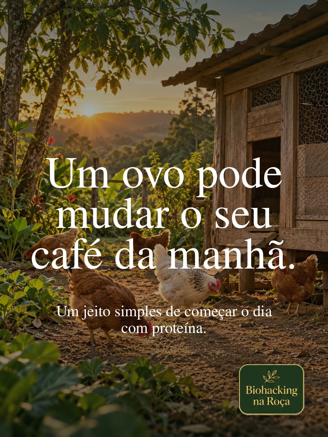 @MARCELA MEIADO