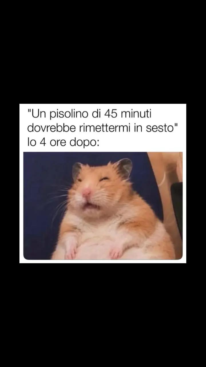 @Vedova Nera 🕷️2