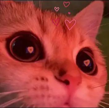 @🎧🎶✨️ ElCaTPana✨️🎶🤙