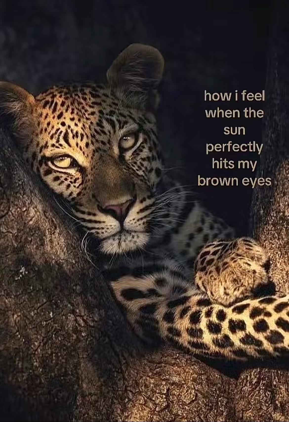 @𝓶𝓮𝓰