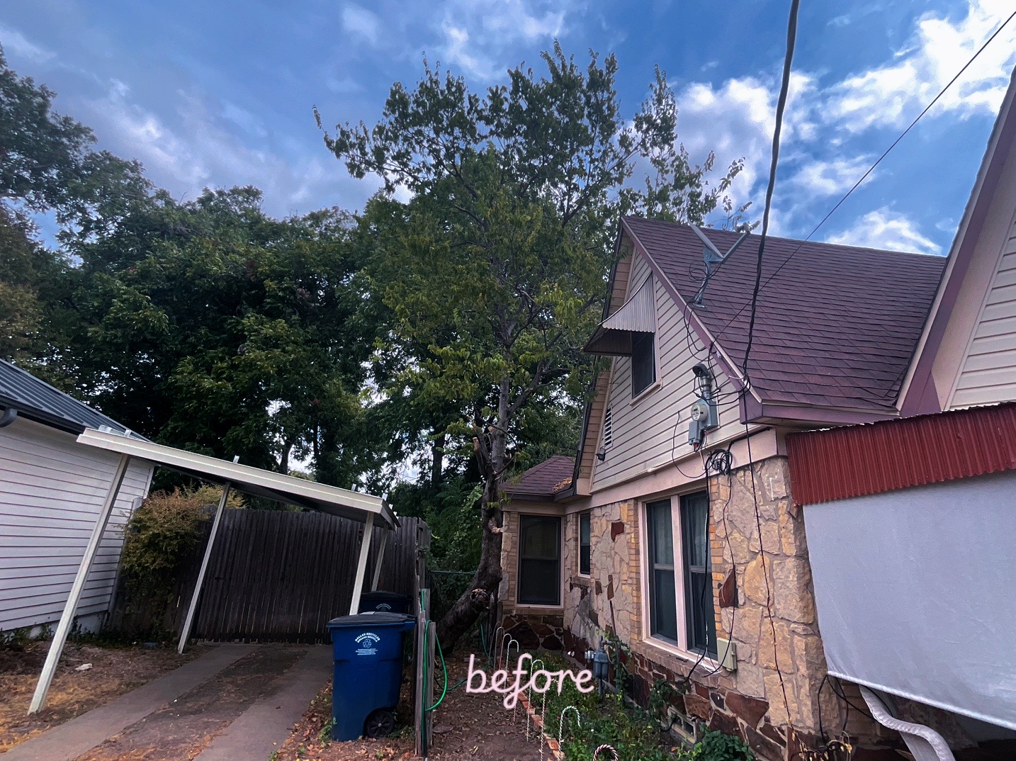 @Live Oak Tree Service