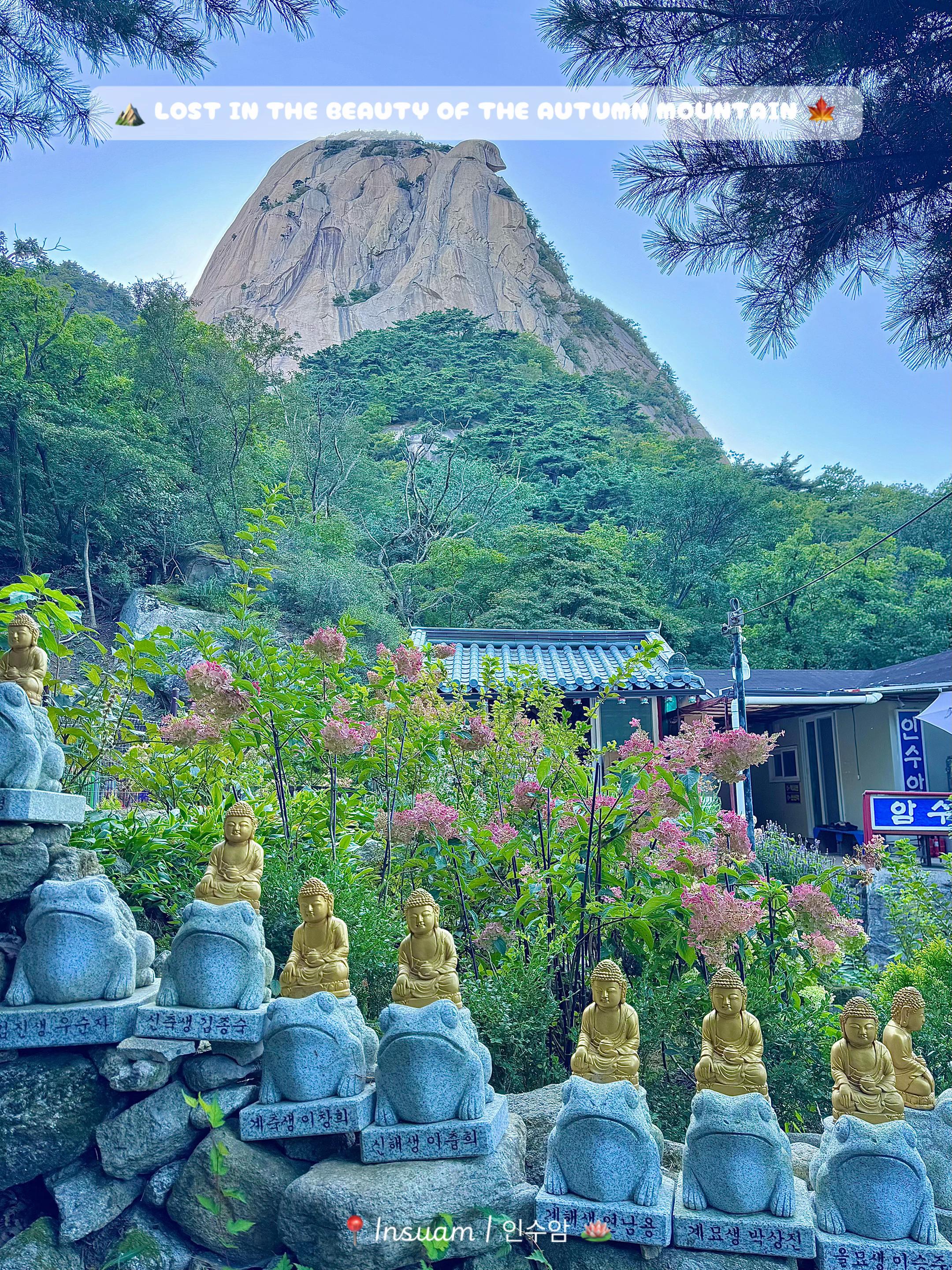 @Jun 🇻🇳