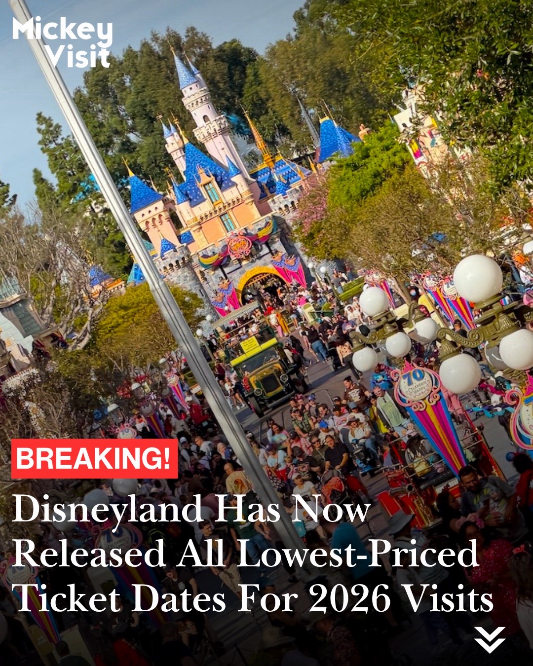 @Mickey Visit: Disney Guide!