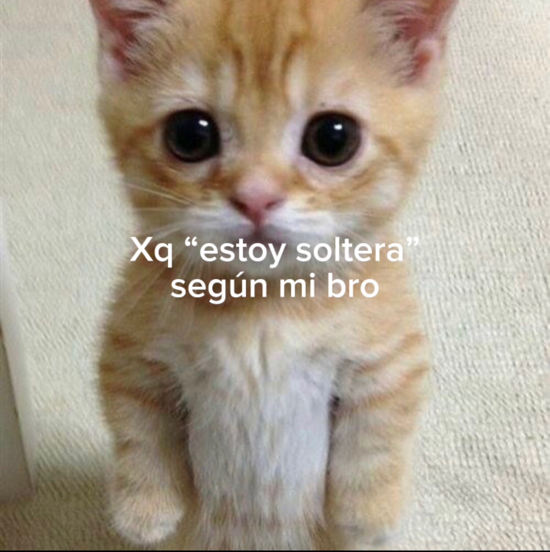 @maniupegodx