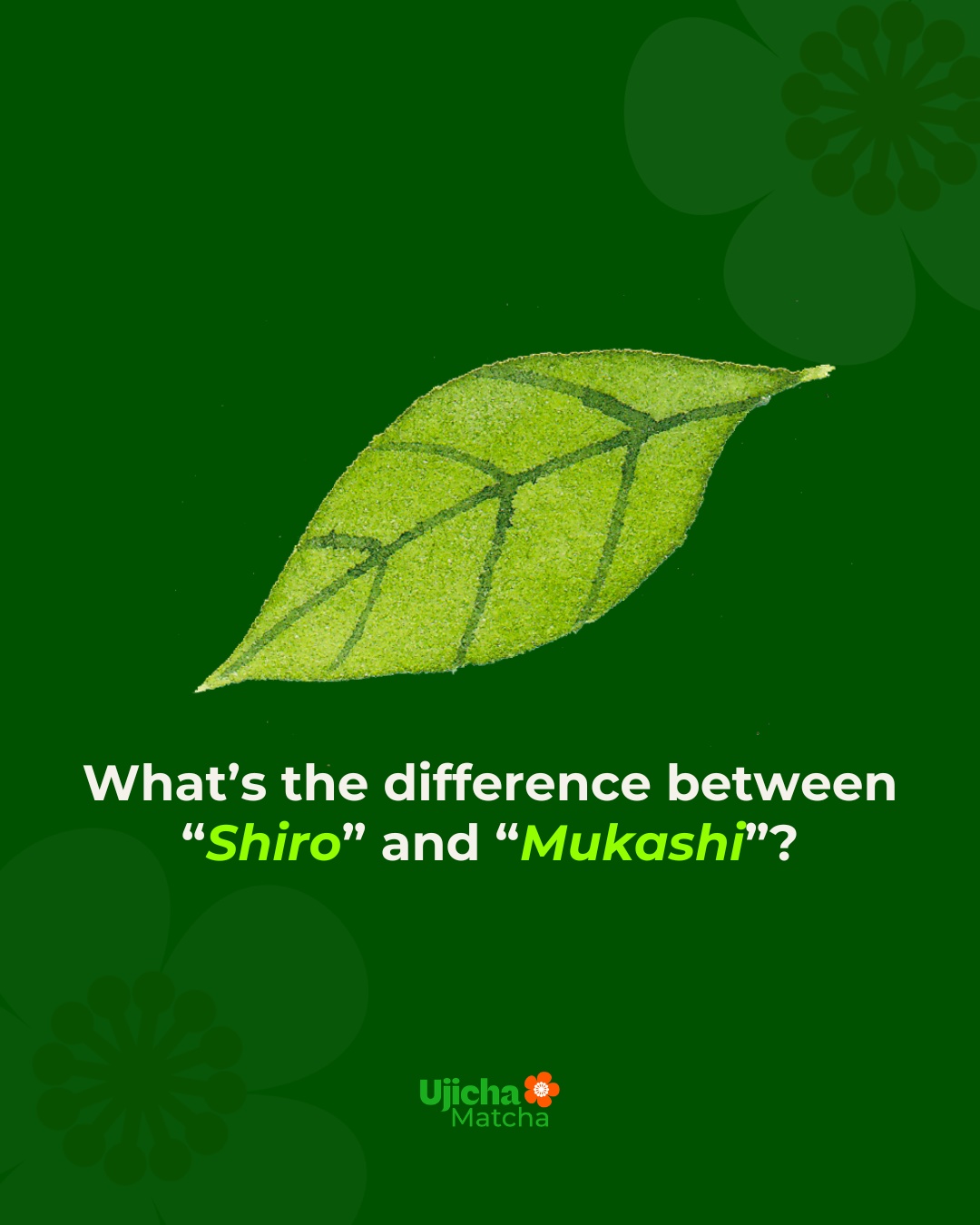 @Ujicha Matcha