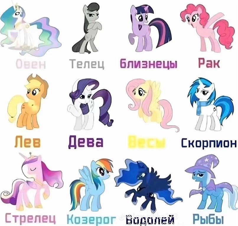 @попи до попи