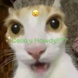 @🎧🎶✨️ ElCaTPana✨️🎶🤙