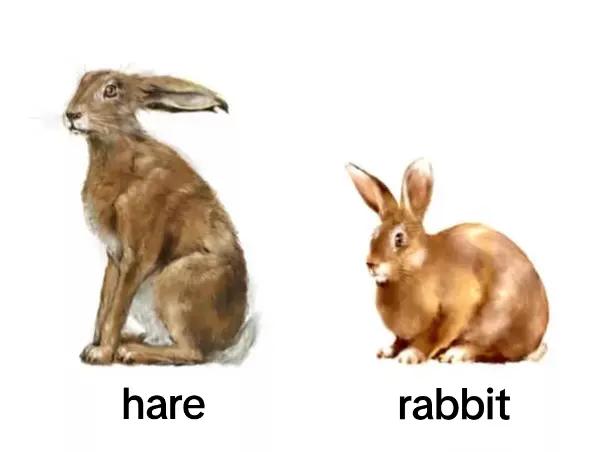 @юля фирестар