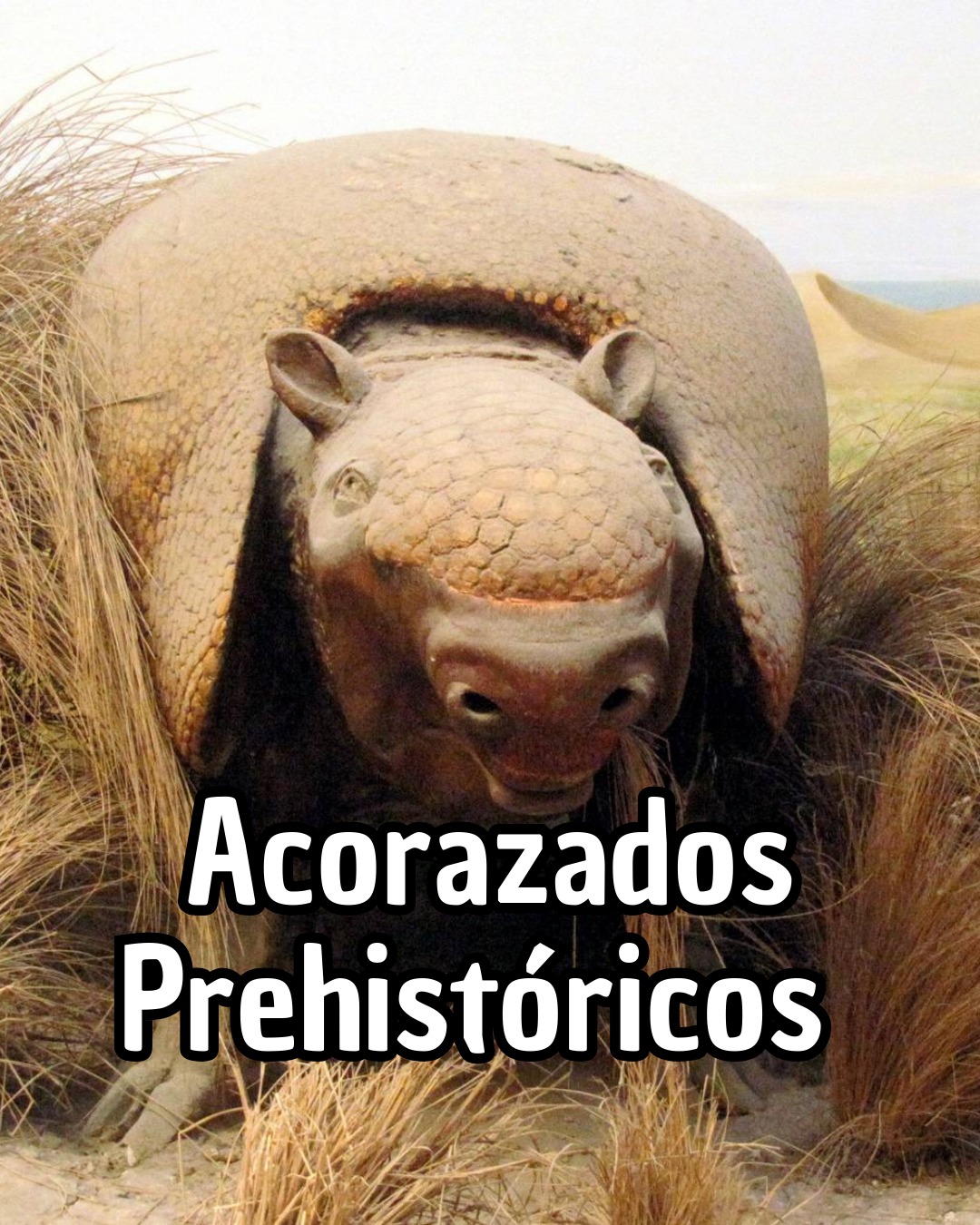 @eocenito
