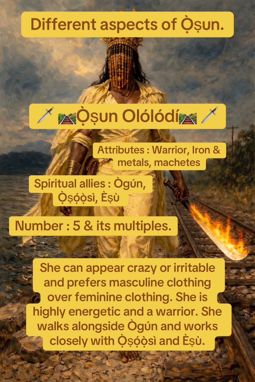 @sonofthegoldenlady555