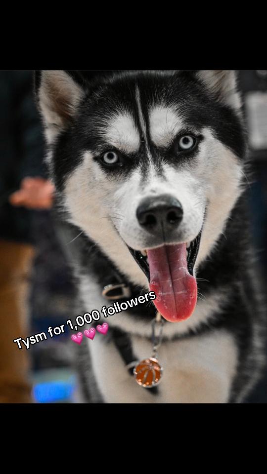 @uconn <3