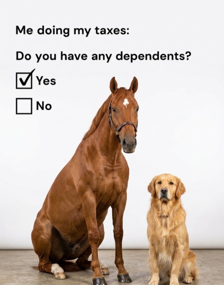 @streamhorse