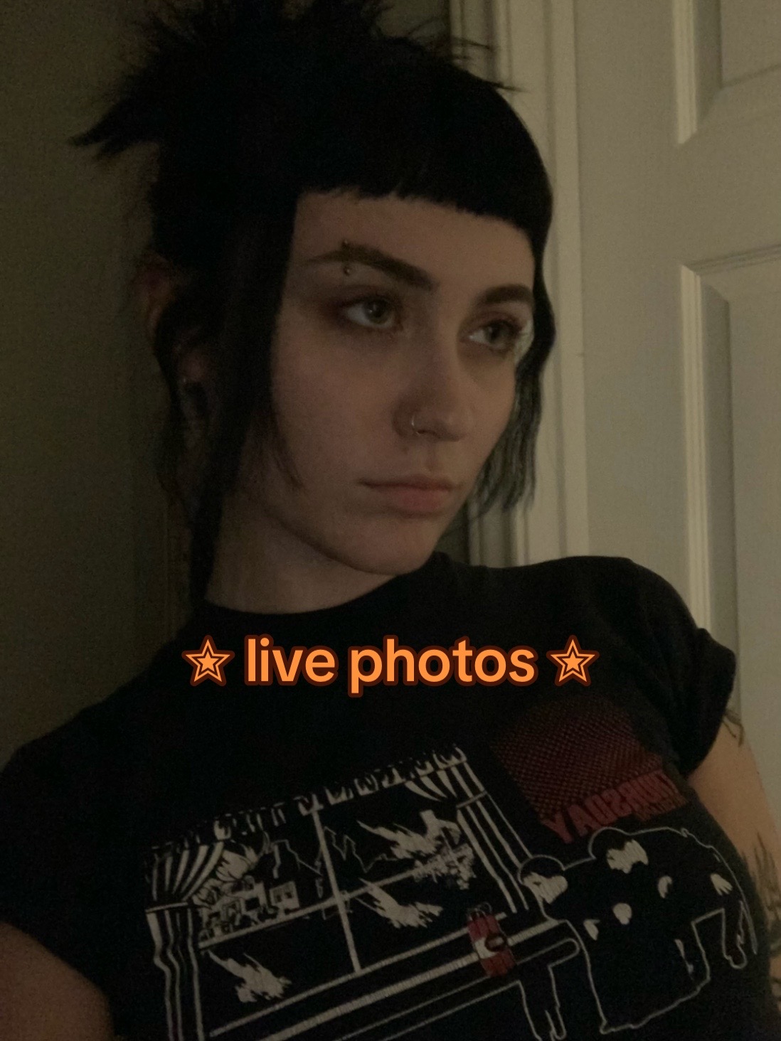 @lexi
