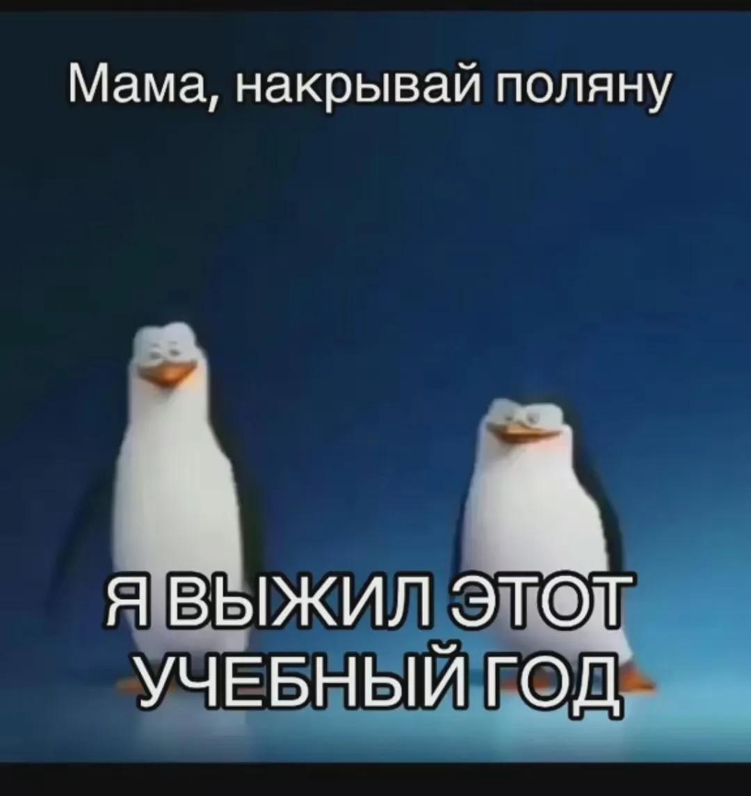 @vorobushekk