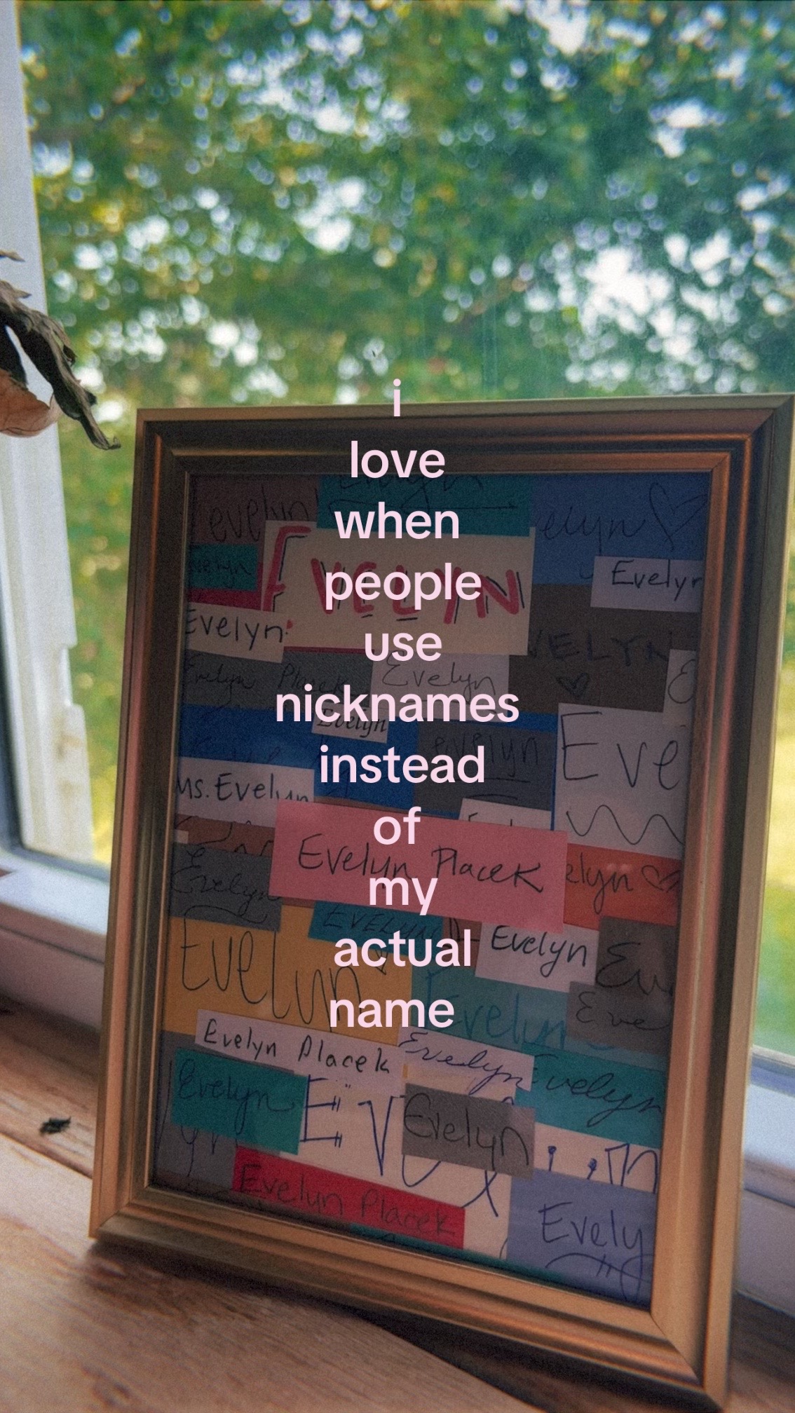 @evelyn placek