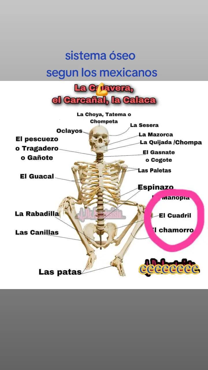 @Jerry cano