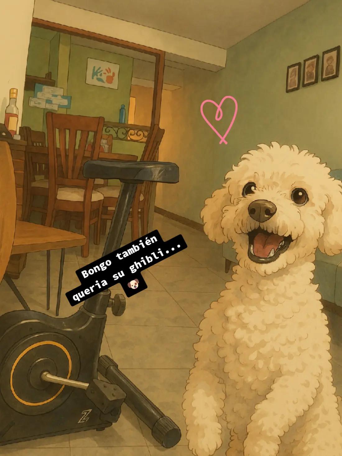 @Charly