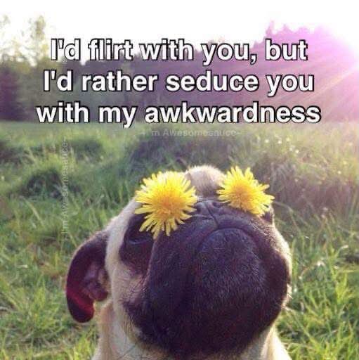 @Tnchick72