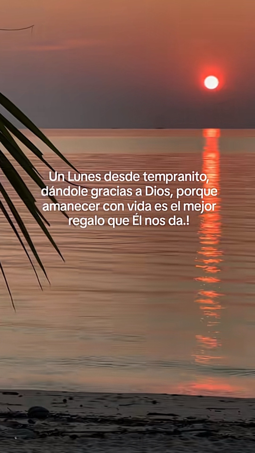 @🥀🦋Melisa🌺💖