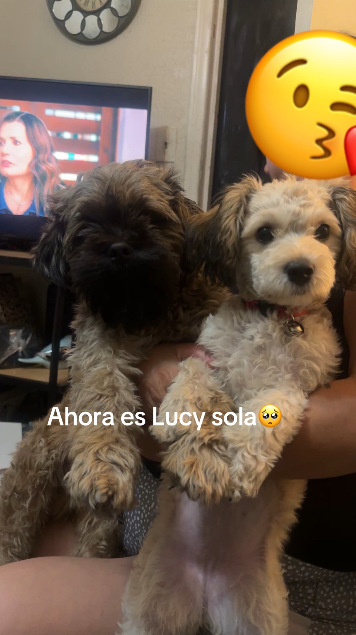 @Bia Pérez