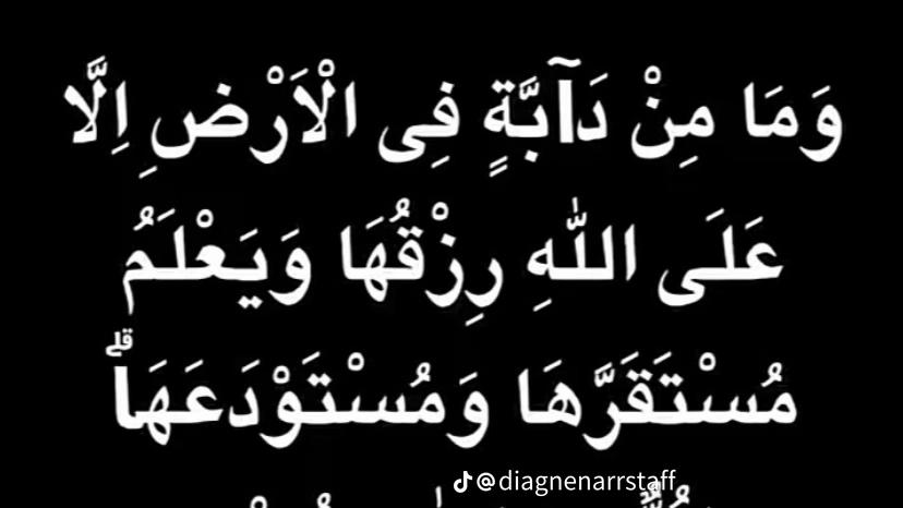 @Mame Arda