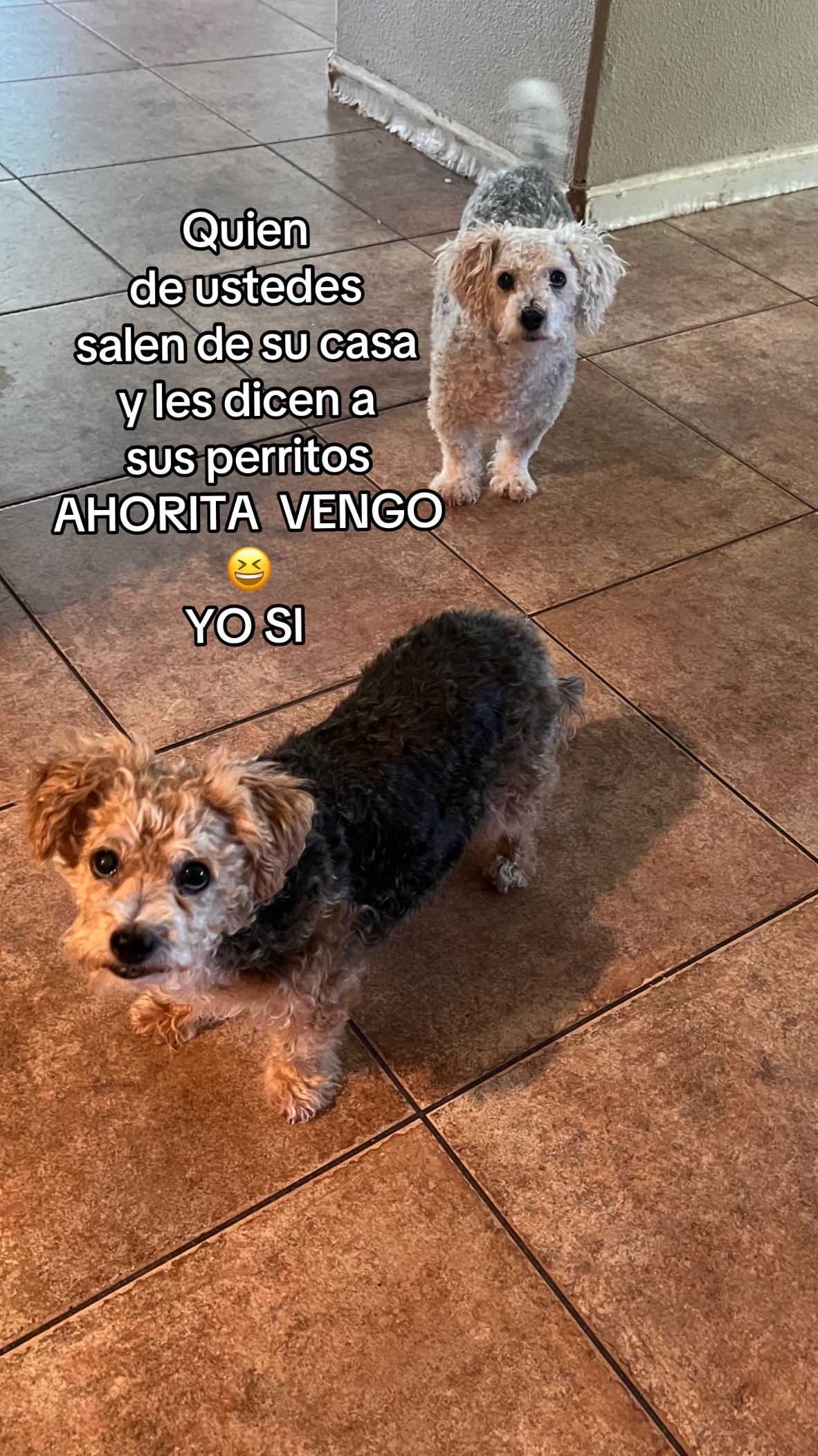 @Anabel Contreras