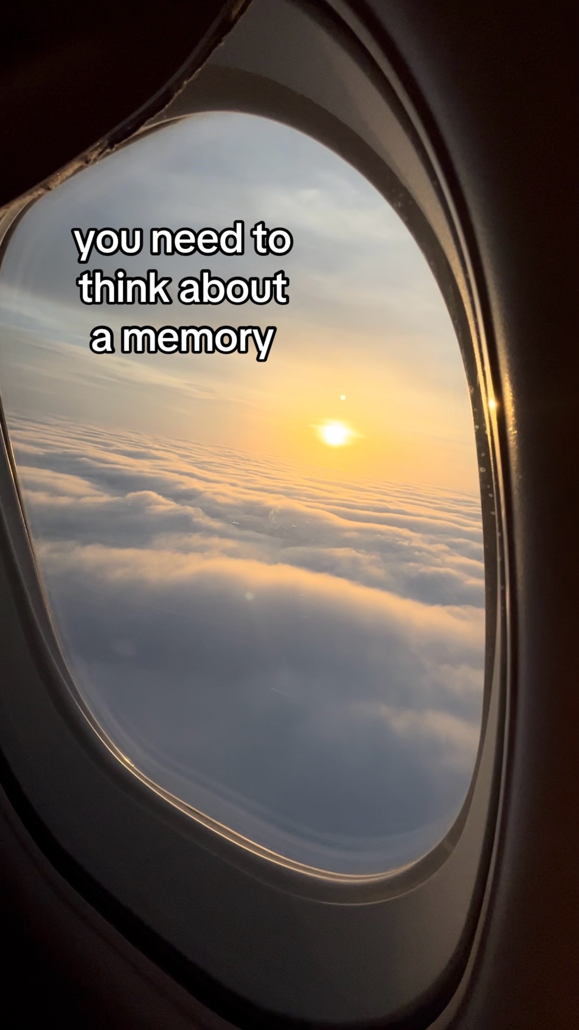 @MrsQuokka ๐ต๐ฑ๐บ๐ธ