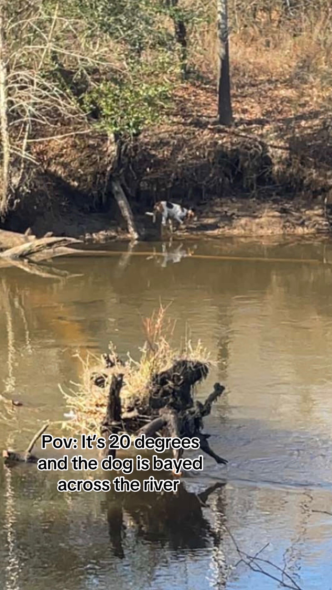 @Sara 🦆