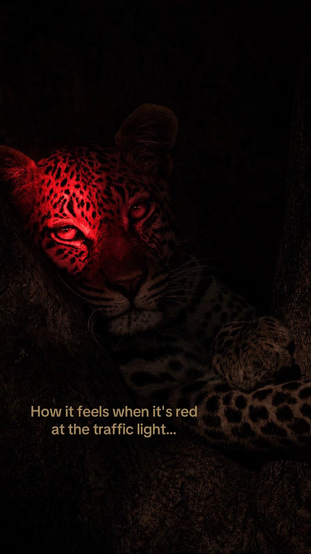 @𝐫𝐮𝐦'𝐛𝐞𝐤