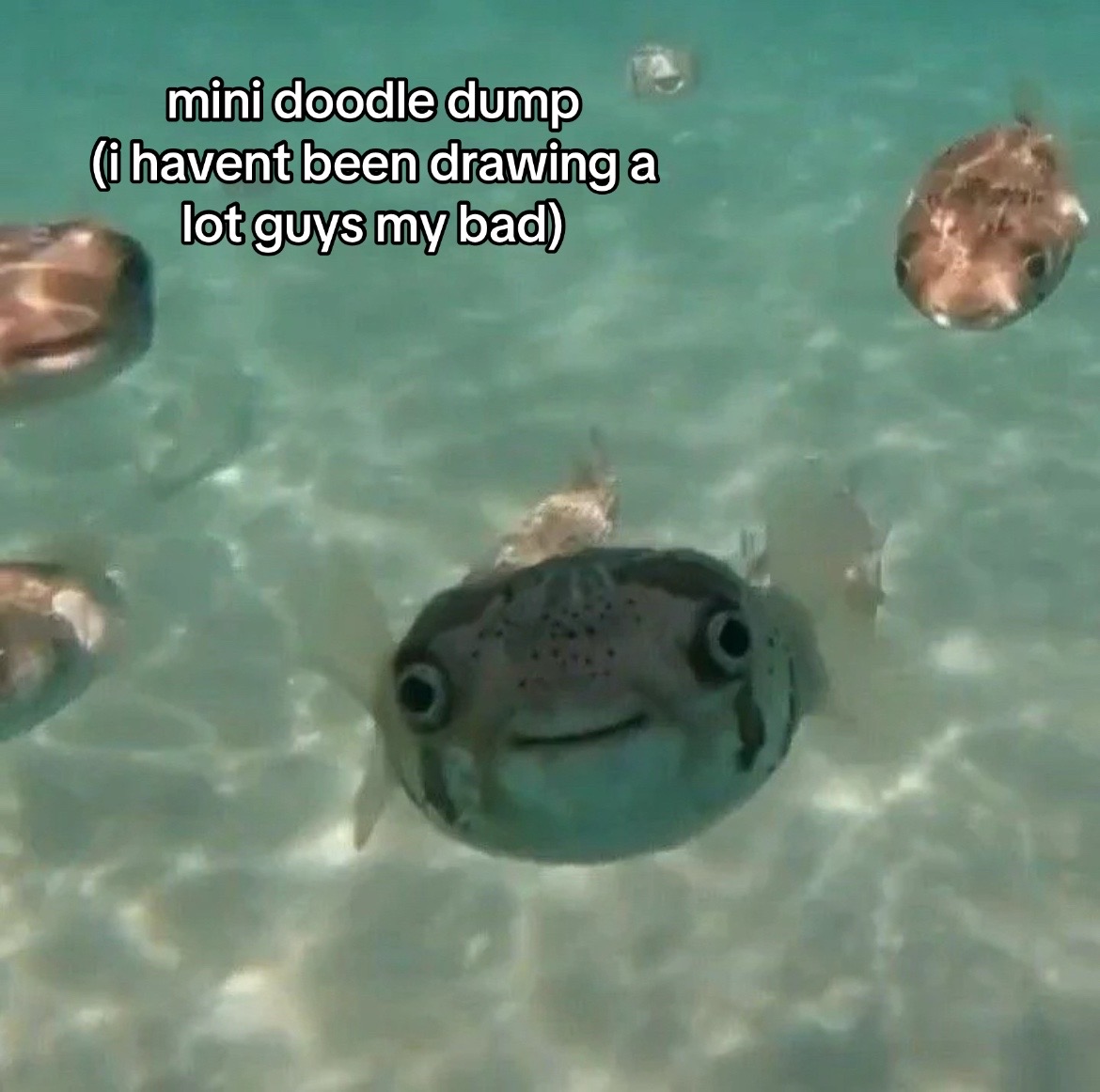 @me.edle
