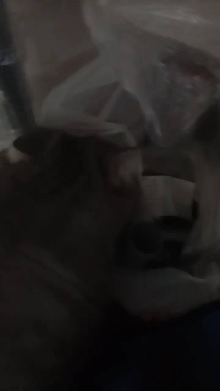 @Хонкантон