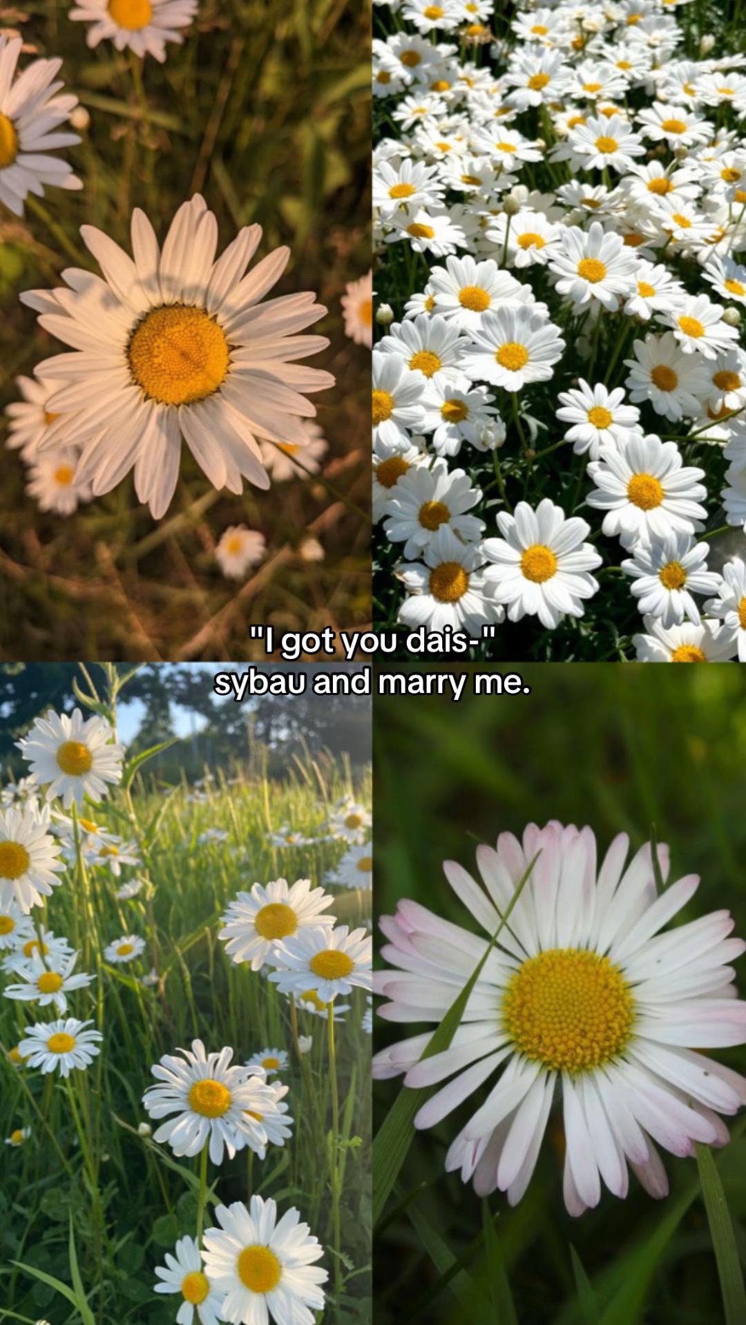 @☦︎