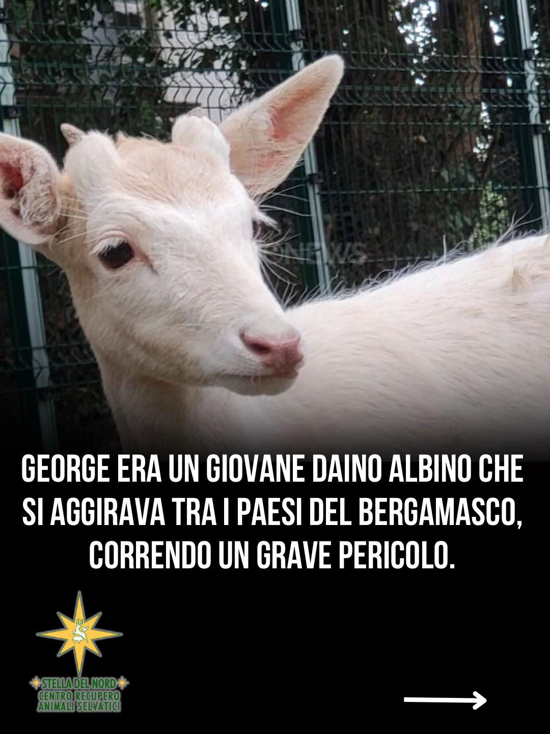 @Michela Vittoria Brambilla