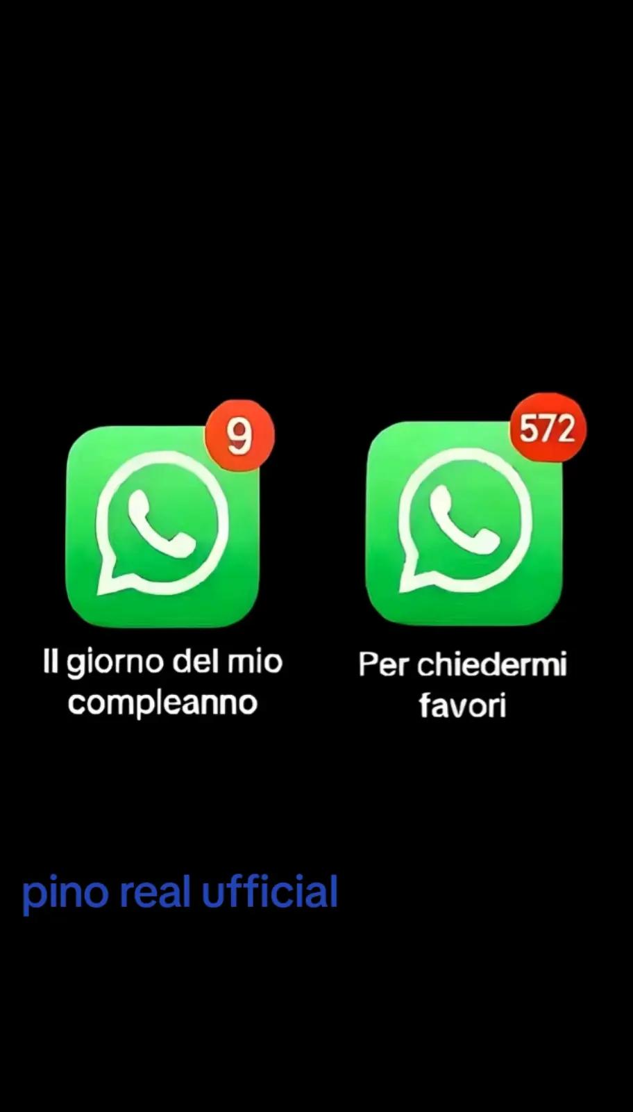 @pino real ufficial