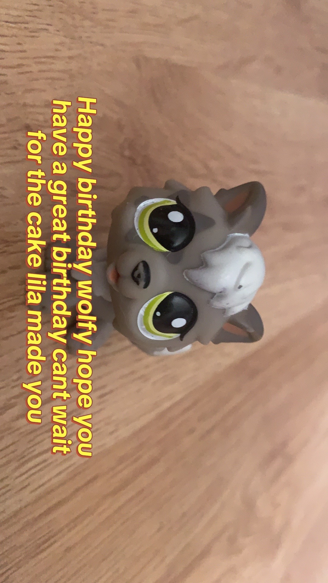 @lila and sprinkles