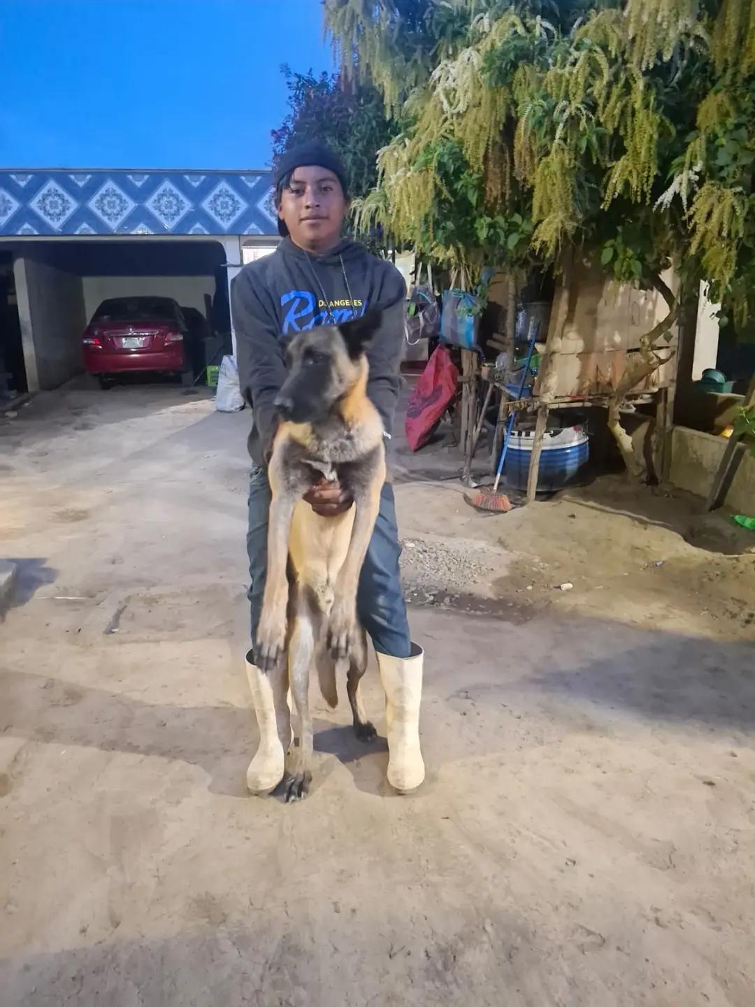 @Martín1982
