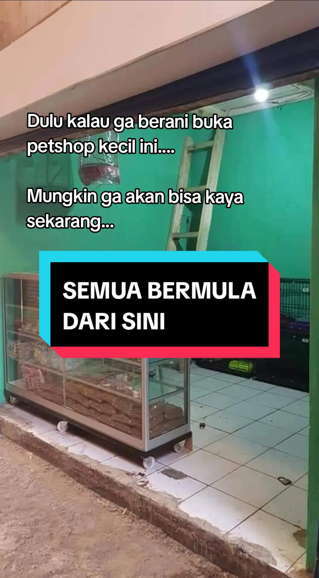 @bejo petmart