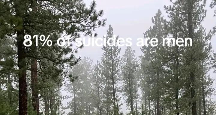 @*SIRFLUX*