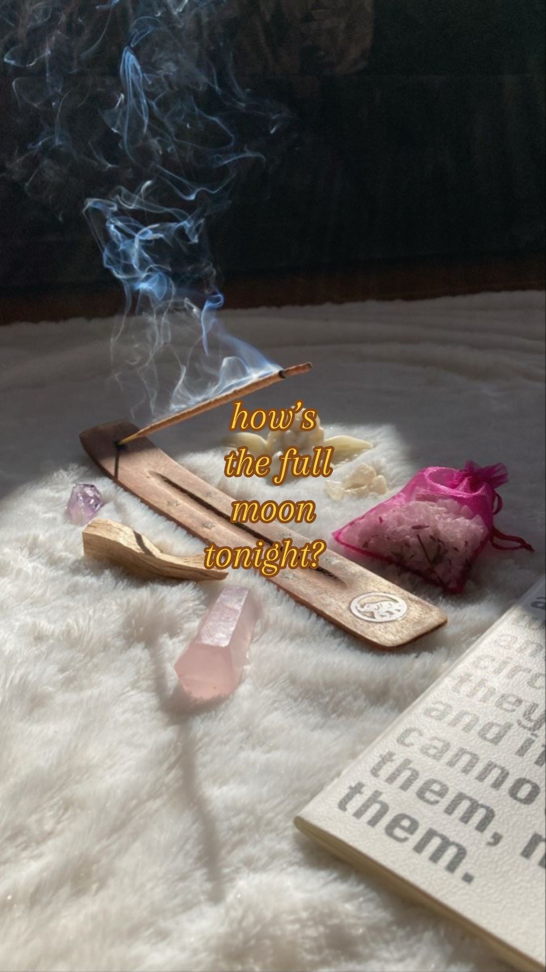 @⋆˚꩜｡ Pink Mink Priestess! ⋆˚꩜｡