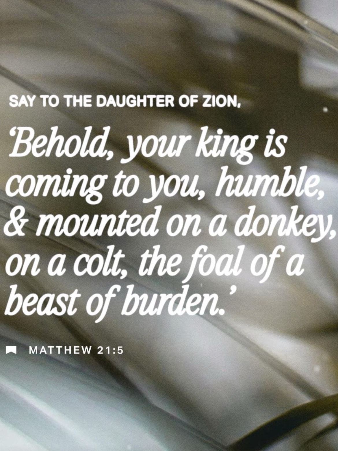 @Assembly Of The Prophets