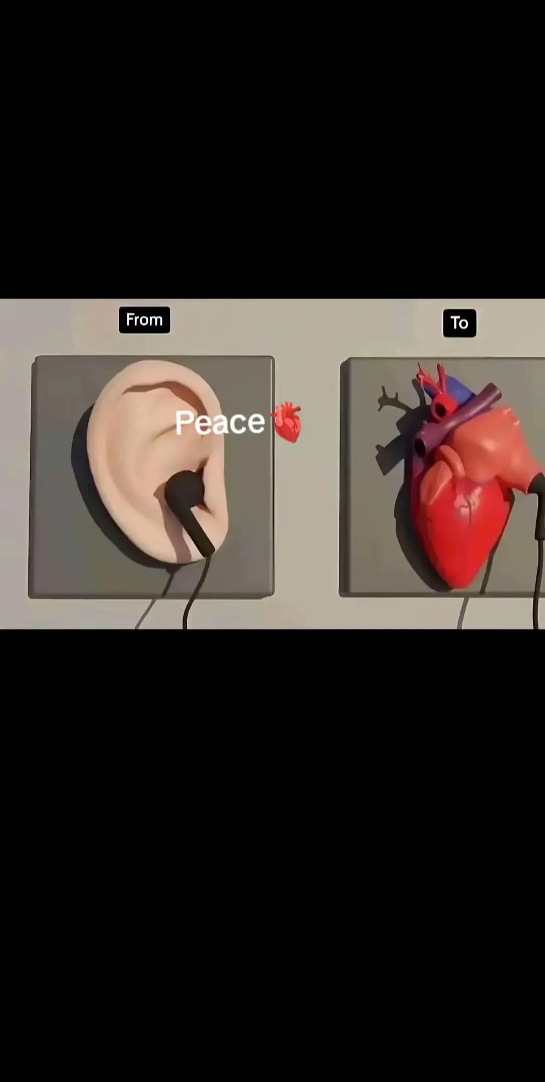 @Tami Tech2